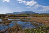 The view afforded to a passenger waiting at the somewhat isolated Woodlands Halt. The mountain ridge seen here is named Mount Gabriel.